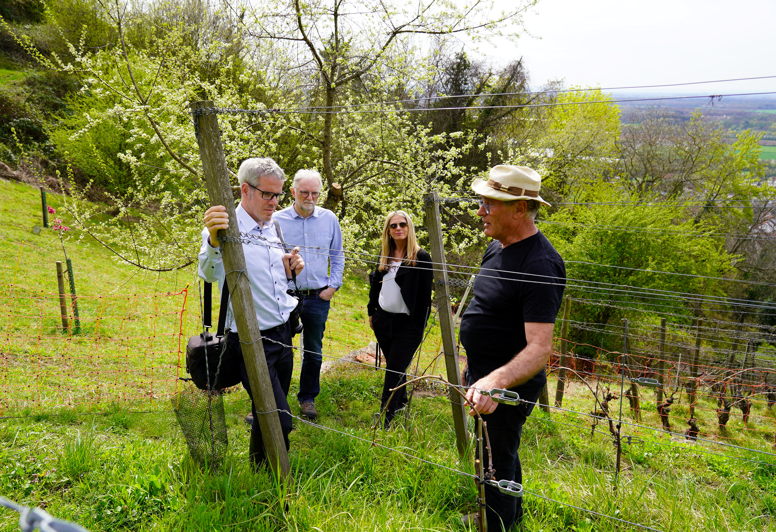 Tauschten sich gemeinsam zum Thema ökologischer Weinanbau aus: (v.l.n.r.) Landrat Christian Engelhardt, Reiner Pfuhl (Klimaschutzmanager des Kreises Bergstraße), Corinna Simeth (Leiterin der Abteilung Kreisentwicklung und Grundsatz beim Kreis Bergstraße) und Gerold Hartmann (Gründer der Winzergemeinschaft Feligreno). Tauschten sich gemeinsam zum Thema ökologischer Weinanbau aus: (v.l.n.r.) Landrat Christian Engelhardt, Reiner Pfuhl (Klimaschutzmanager des Kreises Bergstraße), Corinna Simeth (Leiterin der Abteilung Kreisentwicklung und Grundsatz beim Kreis Bergstraße) und Gerold Hartmann (Gründer der Winzergemeinschaft Feligreno).